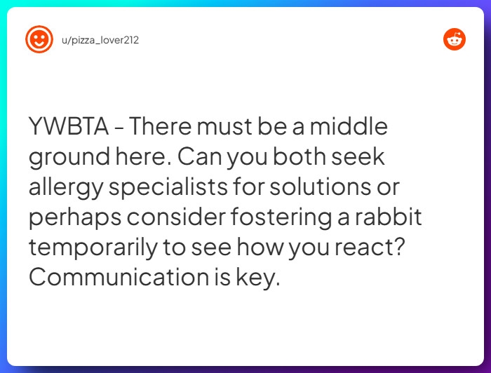 Comment from u/pizza_lover212