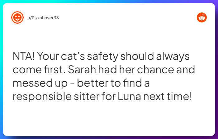 Comment from u/PizzaLover33