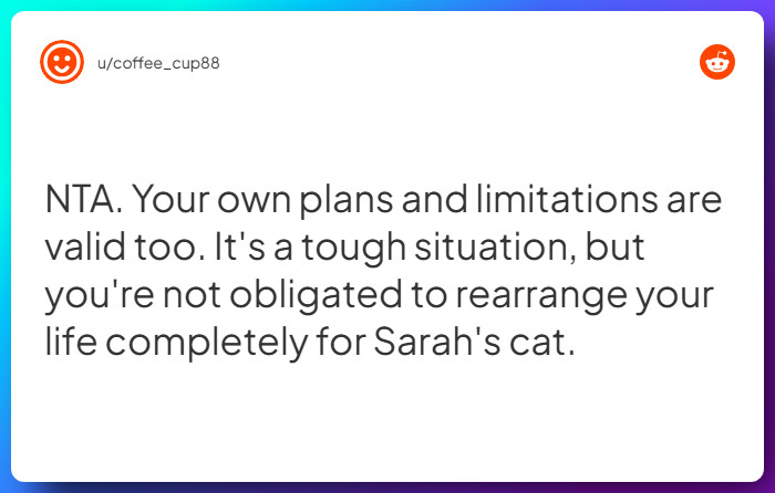 Comment from u/coffee_cup88