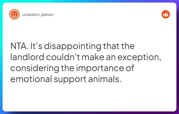 Comment from u/random_person