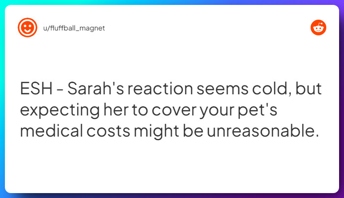 Comment from u/fluffball_magnet