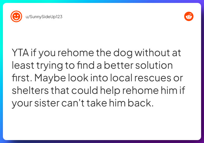 Comment from u/SunnySideUp123