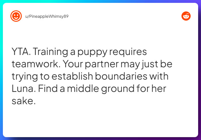 Comment from u/PineappleWhimsy89