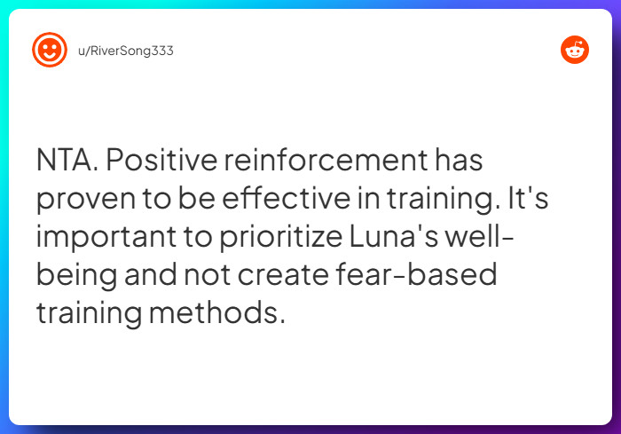 Comment from u/RiverSong333