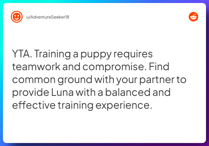 Comment from u/AdventureSeeker18