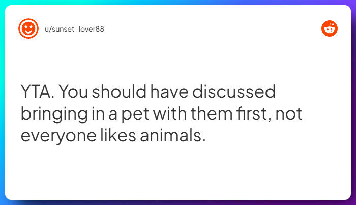 Comment from u/sunset_lover88