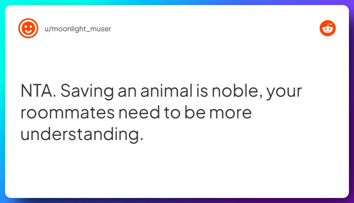 Comment from u/moonlight_muser