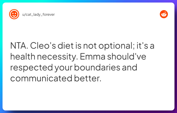 Comment from u/cat_lady_forever