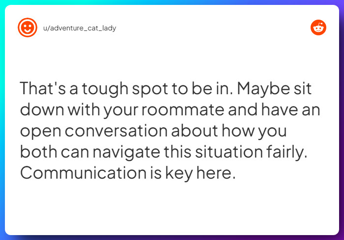 Comment from u/adventure_cat_lady