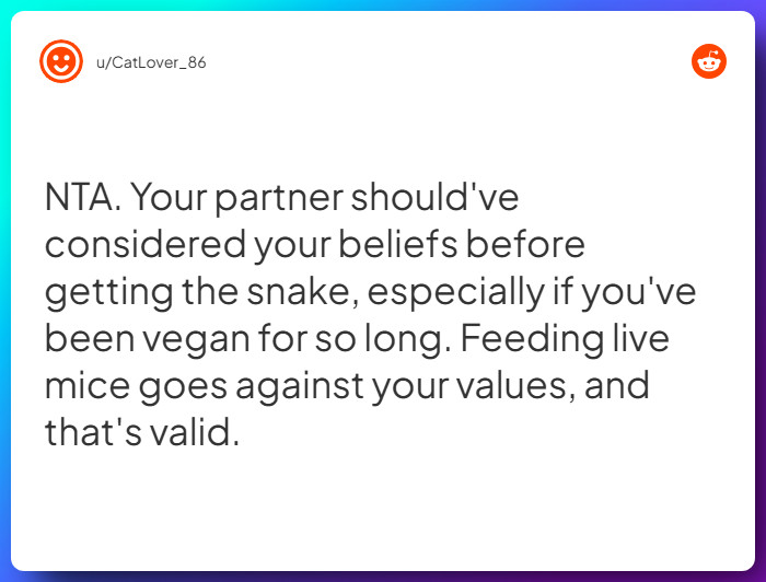 Comment from u/CatLover_86