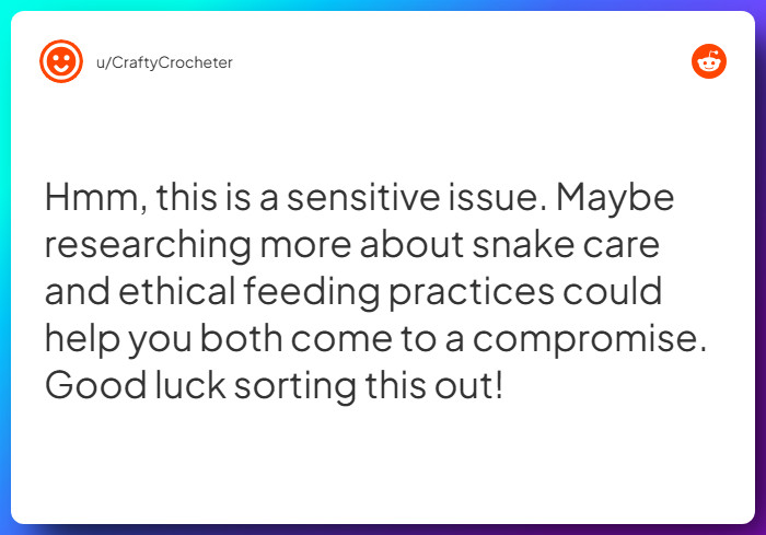 Comment from u/CraftyCrocheter