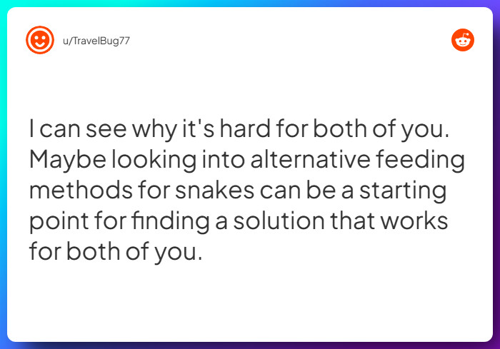 Comment from u/TravelBug77