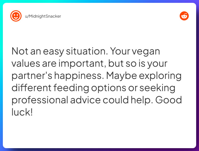 Comment from u/MidnightSnacker