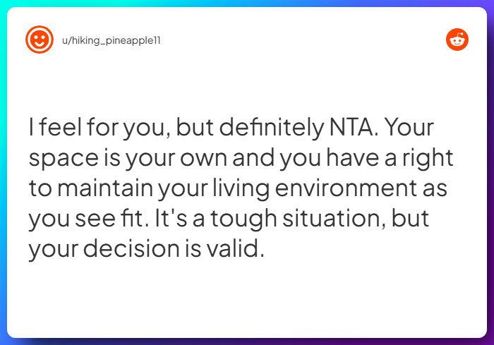 Comment from u/hiking_pineapple11