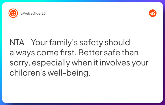 Comment from u/VelvetTiger23