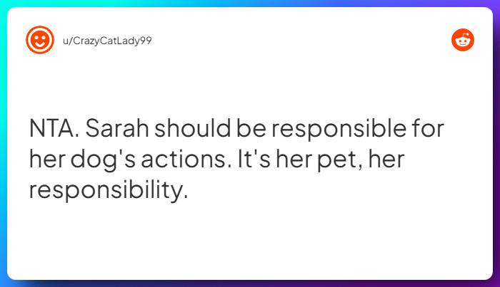 Comment from u/CrazyCatLady99