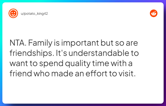 Comment from u/potato_king42