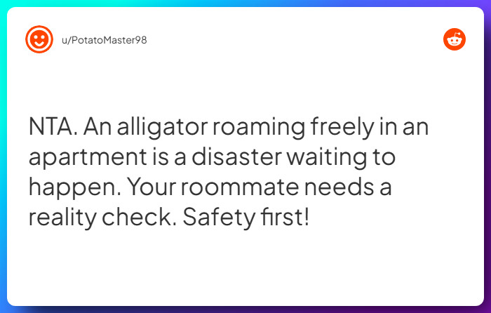 Comment from u/PotatoMaster98