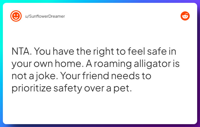 Comment from u/SunflowerDreamer