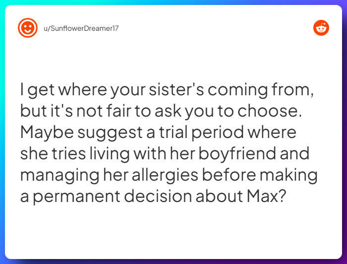 Comment from u/SunflowerDreamer17