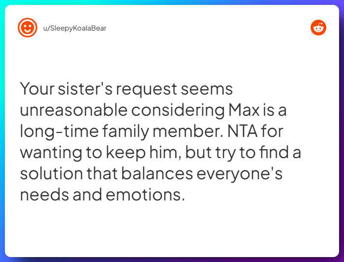 Comment from u/SleepyKoalaBear