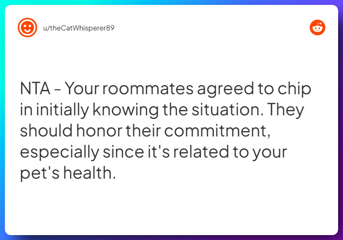 Comment from u/theCatWhisperer89