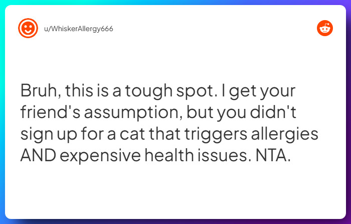 Comment from u/WhiskerAllergy666