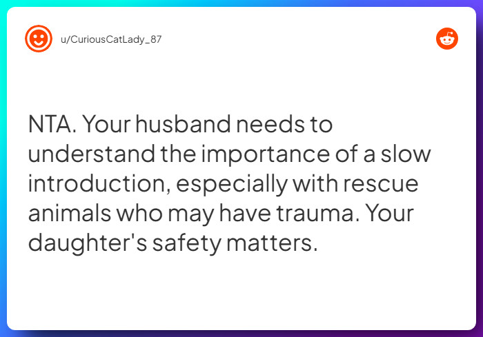 Comment from u/CuriousCatLady_87