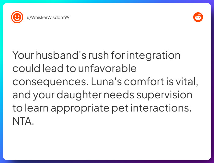 Comment from u/WhiskerWisdom99