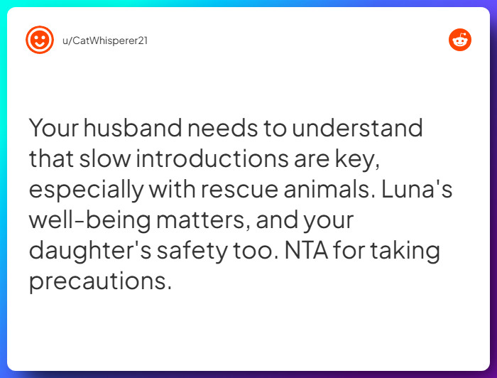 Comment from u/CatWhisperer21