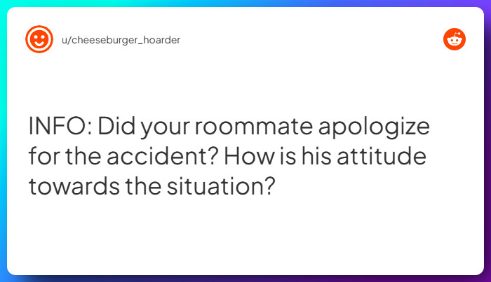 Comment from u/cheeseburger_hoarder