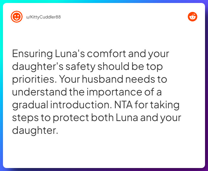 Comment from u/KittyCuddler88