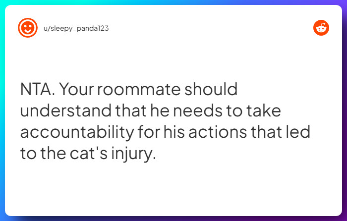 Comment from u/sleepy_panda123