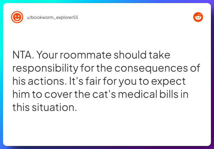 Comment from u/bookworm_explorer55