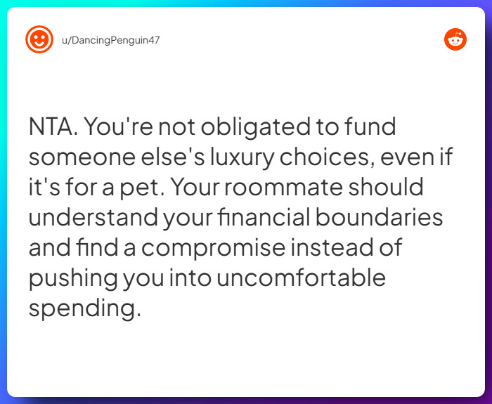 Comment from u/DancingPenguin47