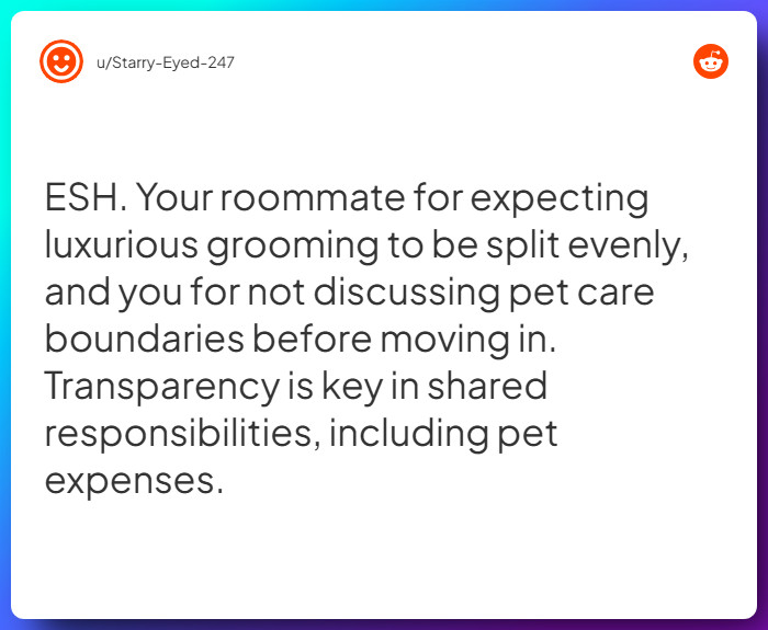 Comment from u/Starry-Eyed-247