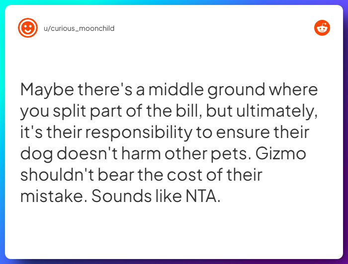 Comment from u/curious_moonchild