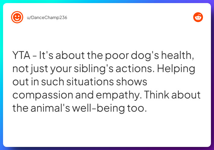 Comment from u/DanceChamp236