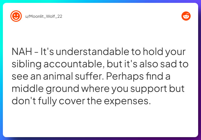 Comment from u/Moonlit_Wolf_22