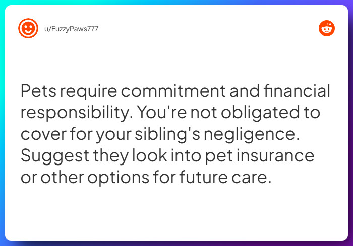 Comment from u/FuzzyPaws777