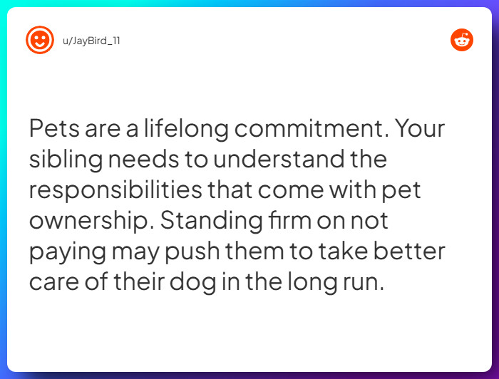 Comment from u/JayBird_11