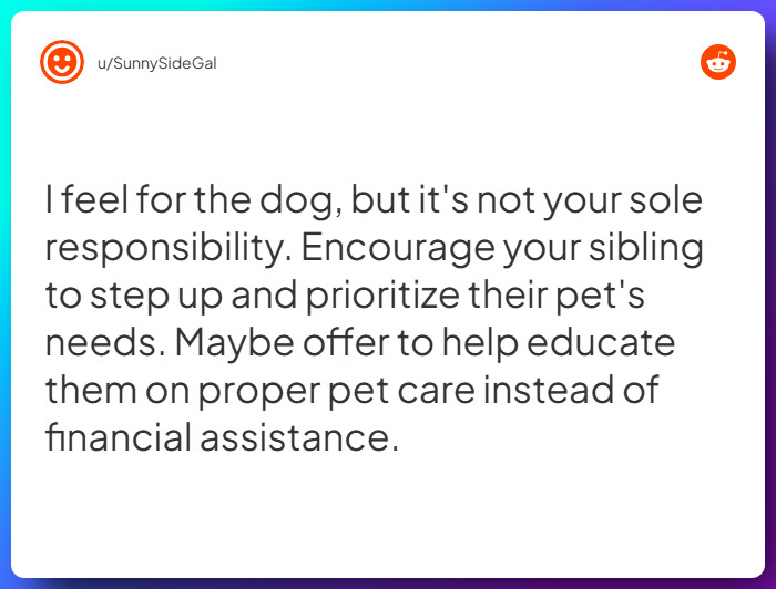 Comment from u/SunnySideGal