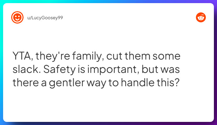 Comment from u/LucyGoosey99