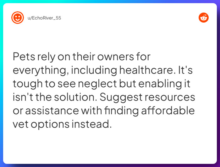 Comment from u/EchoRiver_55