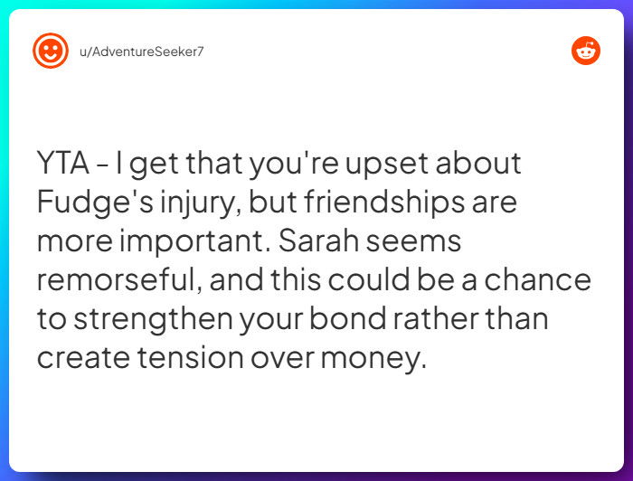 Comment from u/AdventureSeeker7