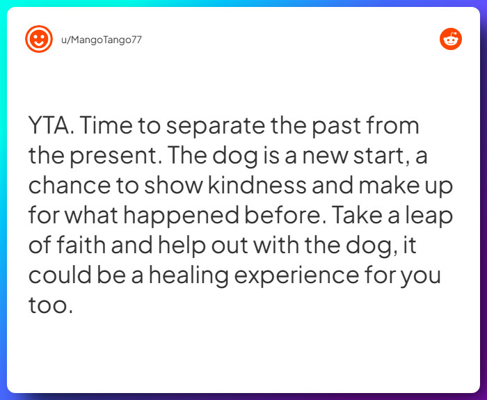 Comment from u/MangoTango77