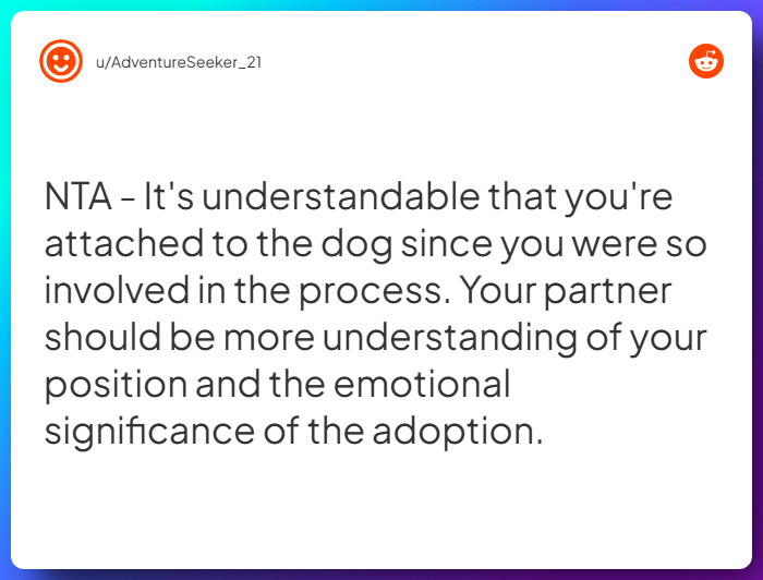 Comment from u/AdventureSeeker_21