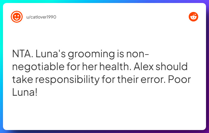 Comment from u/catlover1990