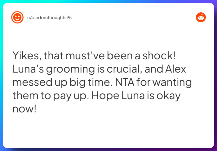 Comment from u/randomthoughts95