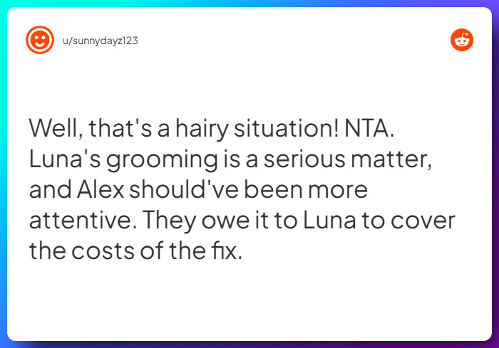 Comment from u/sunnydayz123